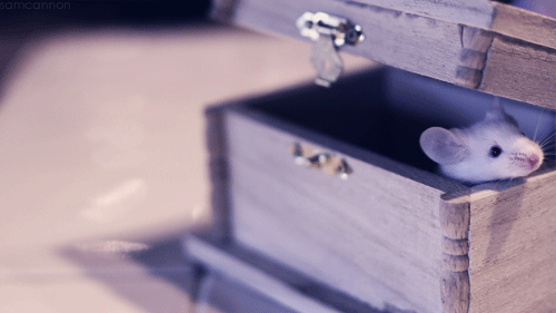 25 Things Nobody Tells You About Your First Apartment