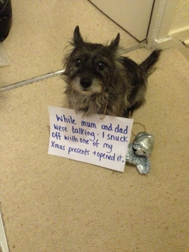 "While mum and dad were talking - I snuck off with one of my Xmas presents + opened it."