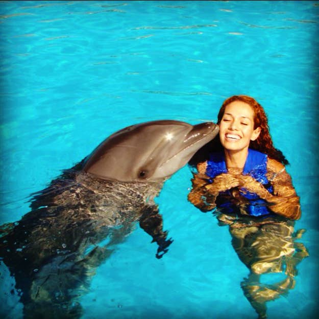 ZOMG this majestic creature is kissing you!? Guaranteed 200 likes.