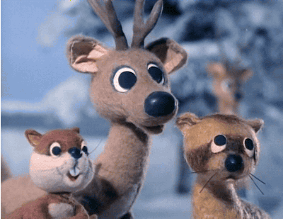 Remember, Christmas only comes once a year!Note: All of these photos are of real pets posted by Instagram users.