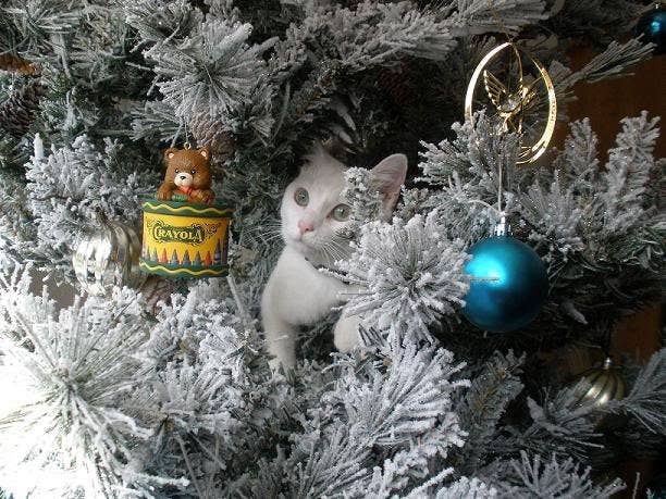 37 Awesome Christmas Card Ideas You Should Steal