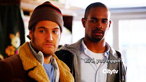 Birds Do Be Trippin