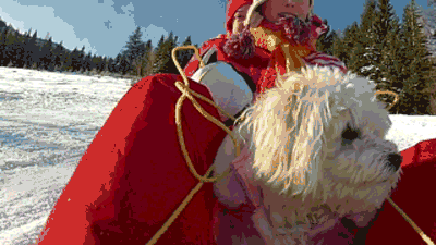 Snow's never a problem when you're always wearing your winter coat.