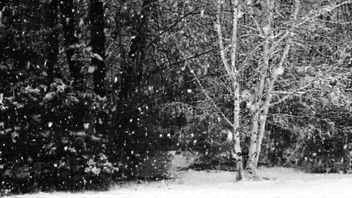 Nothing better than a White Christmas.