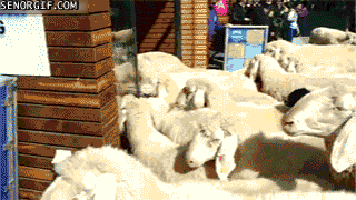 Don't join the sheeple!