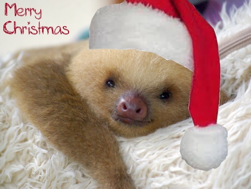 gund christmas sloth