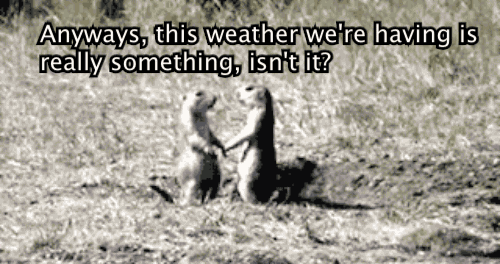 Either the weather is really just that exciting for this person, or there really just isn't much else to talk about.