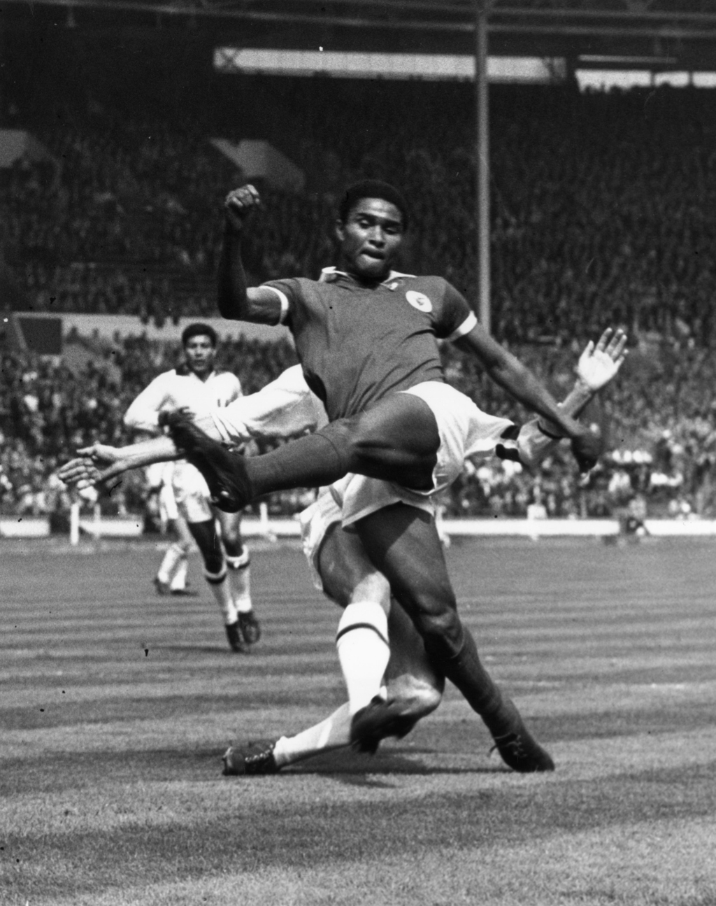Eusebio soccer new arrivals