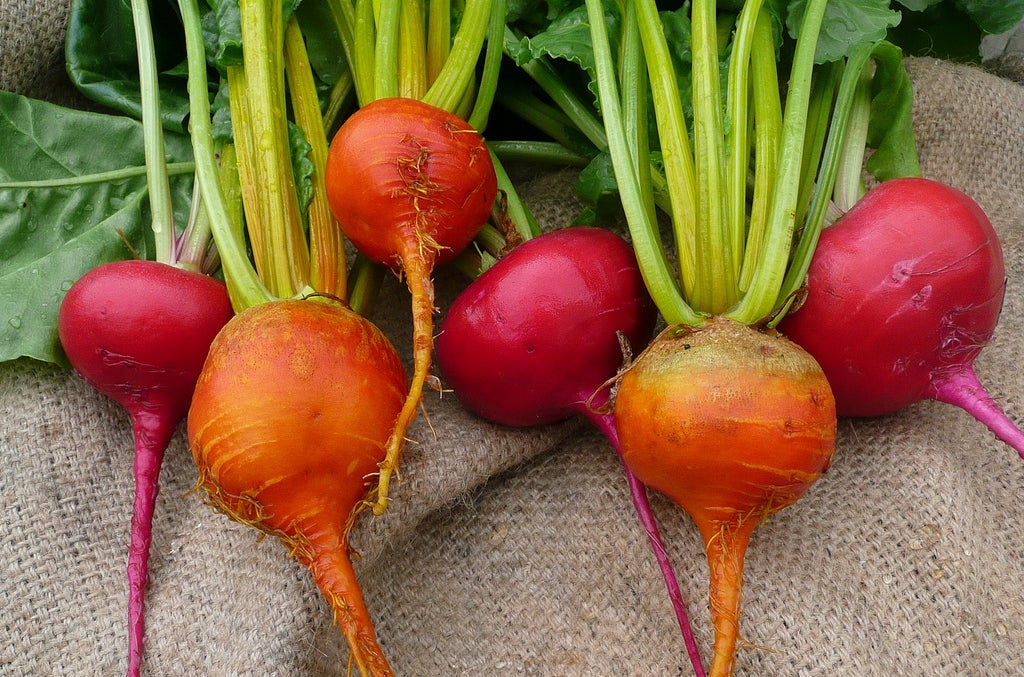 育っている風景を見たら必ず驚く28の果物と野菜