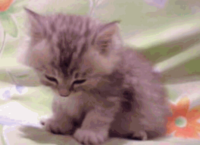 Then its hard to stay awake the rest of the day.