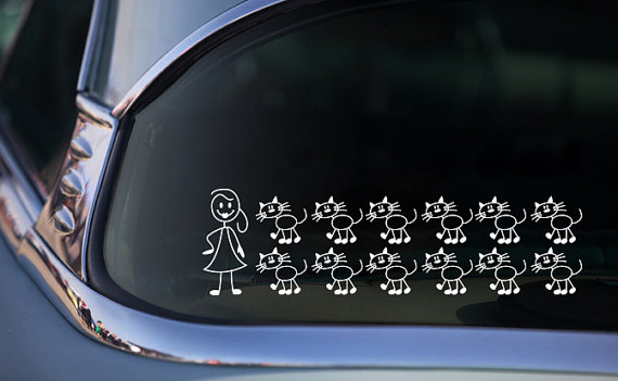 The back of your car looks like this: