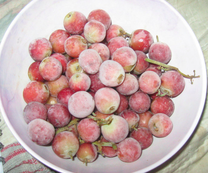 They feel weird at room temperature, so you can only imagine how frozen grapes feel. Kind of like ice cream nuggets, no?