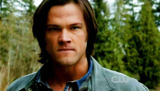 Pros:-Men of Letters-Secret BunkerCons:-RIP KevinSam and Dean are the best brothers anywhere, Castiel is perfect, and the show is going to be renewed! Grade: B+