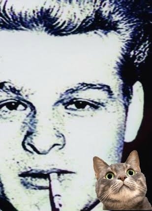 This cat wants to be a model. He could learn a lot from this James Dean doppleganger.