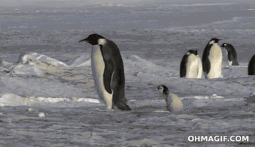 "Hey... so... you take unleaded, or do you only drink premium?"