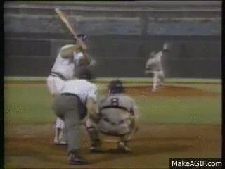 19 Innings of LEGEND!