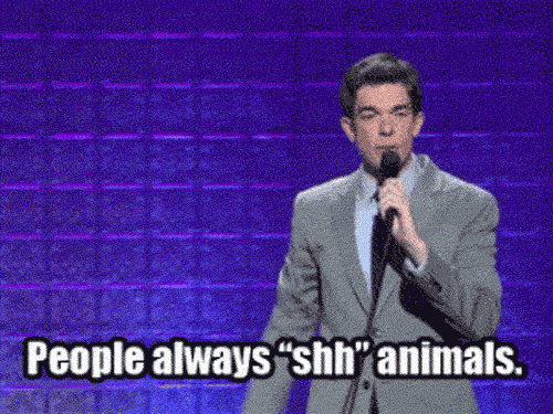 In addition to his Comedy Central special New in Town, Mulaney is a regular on Kroll Show as George St. Geegland, half of the duo behind "Oh, Hello." He has performed his material at a variety of UCB stand-up shows.