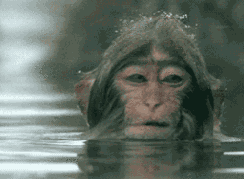 You know you didn't wake up like this.