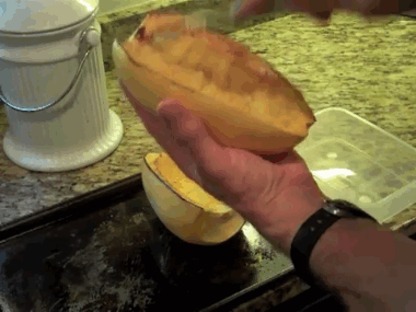 "It's just like spaghetti. But it's squash! No, really!"