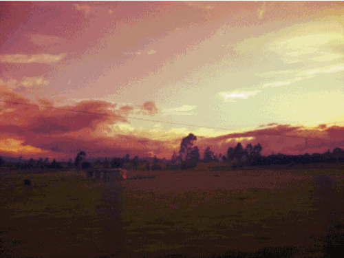 "After a while, we tried driving... without boundaries. It's been sooo refreshing."