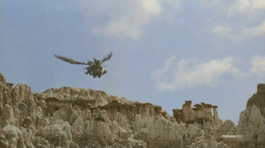 Flying bugs!
