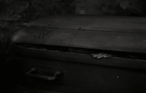 They don't have a bed... but there is a random coffin in their basement? Weird.