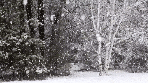 Consider learning about Ullr, Norse god of snow and skiing.