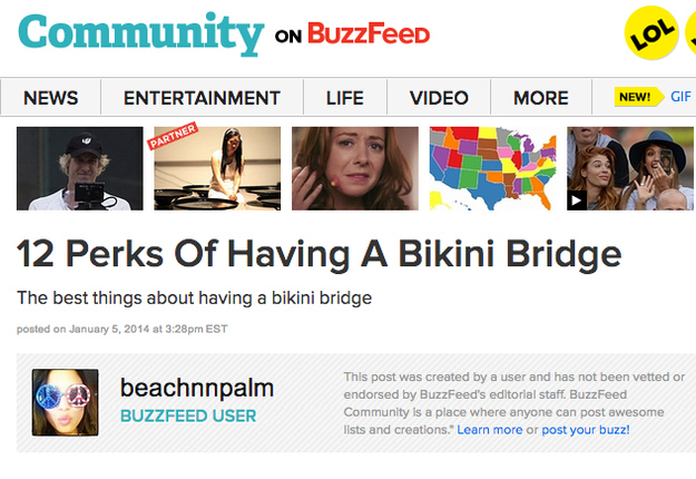 Bikini Bridge: Everything You Need to Know