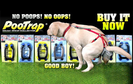 This dog poop contraption: