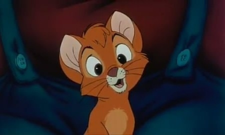 Why? Because he's effing cute, that's why.