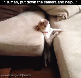...how?