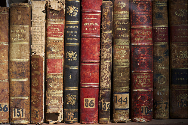 Dusty and musty old pages are filled with the knowledge of every person to touch them. The smell makes us feel connected and wise.