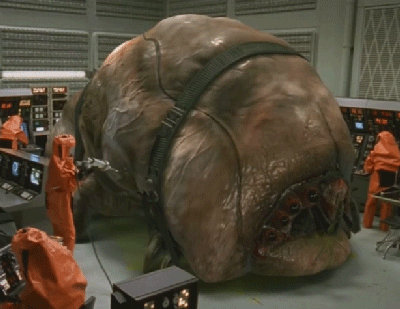 And of course, the infamous brain bug