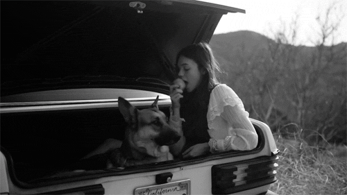 Especially when they're in the trunk with their dog. Trying to drive, you guys.