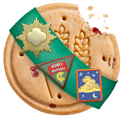 Why the Girl Scouts of America think it's a good idea to pack an assortment of fruits into a whole grain cookie crisp is beyond me.