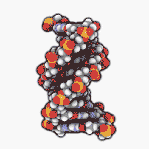 GeneG is a smartphone app developed at Tel Aviv University that can display your very own DNA genome via smartphone.