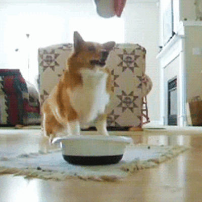 "Yikes, this rug is slippery. Someone should really look into fixing that."