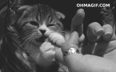 "And I must admit, your finger tastes divine."