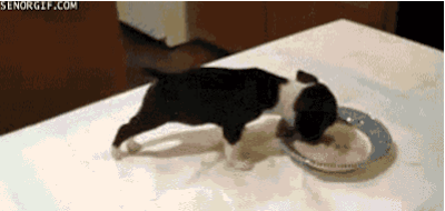 "Oops. Now this is embarrassing."