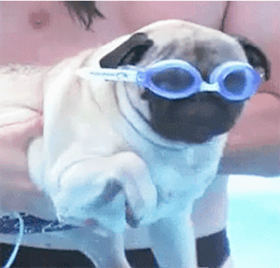 So much swimmin'.