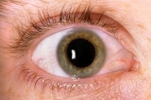 The dilated pupils are one of the easiest signs to spot..... y'all know it.