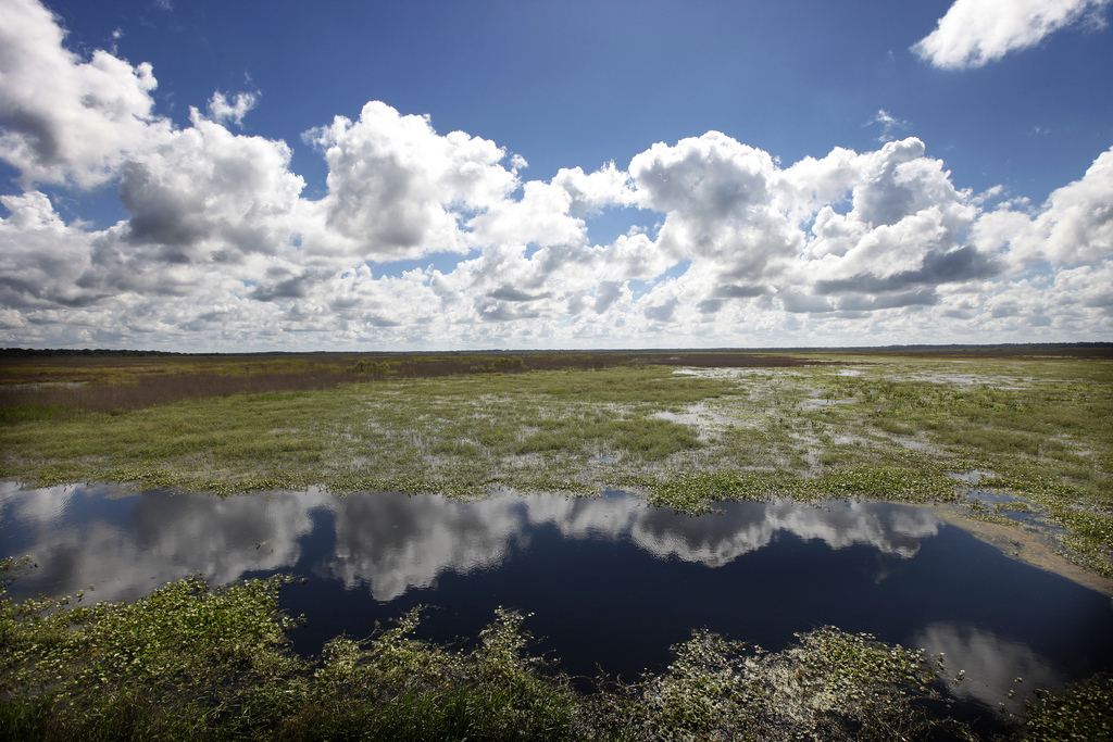 36 Great Bird's-Eye Views Only In Florida