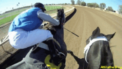 Horse races are also non-negotiable.