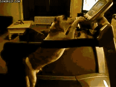 Fill your BRAIN with world news on TV while pumping your HEART on the elliptical!