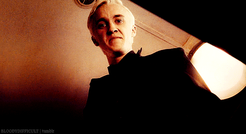 After putting up with that jerk Harry Potter, Draco is the one who should be honored!People think other teams might be better?! No Way! Look at us! No please. We need the attention to live. Don't stop looking at us.