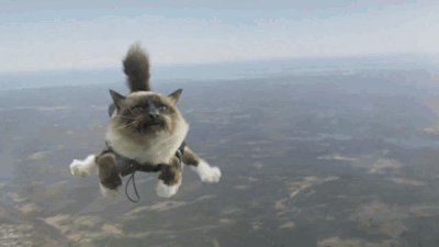 Though there’s something to be said about making it to an older age in one piece, many people wished they’d done things like buy a motorcycle or skydive "instead of listening to the people who talked me out of it.”