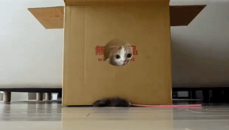 Very Important Box.