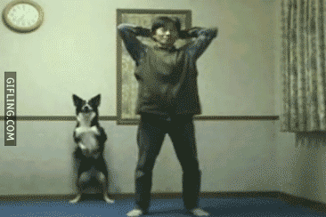 Take advantage of ol' Spot and use him as your training buddy! He'll be pretty darn grateful.