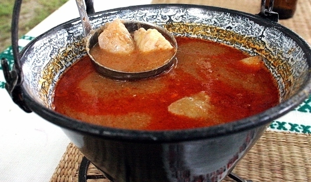 Hal&aacute;szl&eacute; (fisherman&#39;s soup)