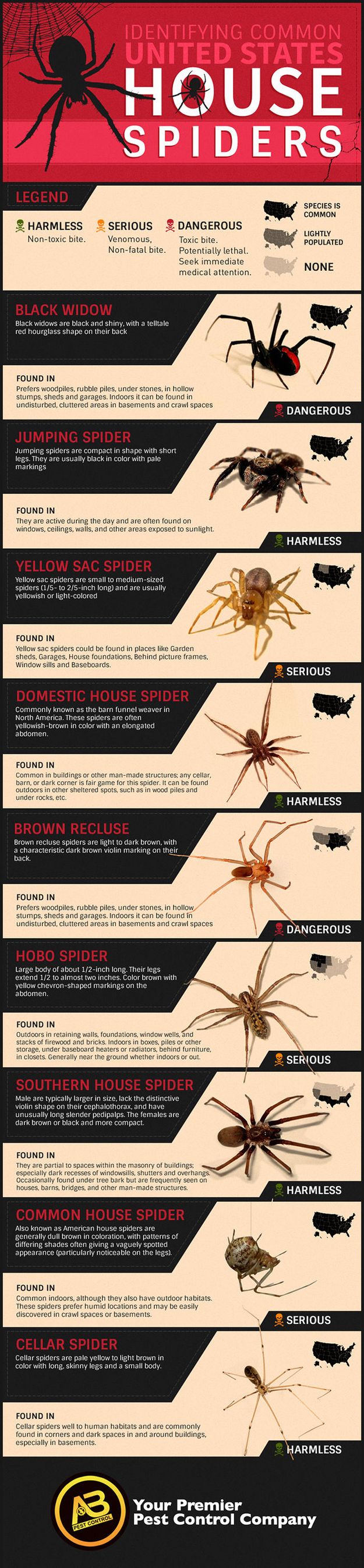 How To Identify Common Poisonous Spiders In Your Home